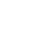 Asset 98