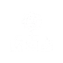 Asset 82